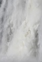 IMG_9770