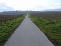 DSC00027