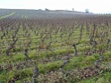 DSC00038