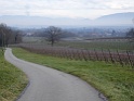 DSC00040