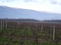 DSC00041