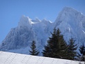 DSC00546