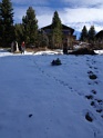 DSC00226