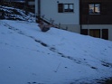 DSC00443