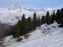 DSC00535