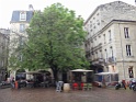 DSC09648
