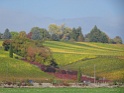 DSC03443