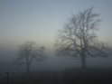 DSC03800