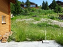 DSC01597