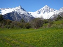 DSC07007
