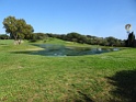 DSC06333