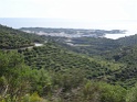 DSC06390