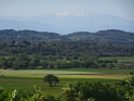DSC06880