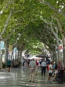 DSC08328