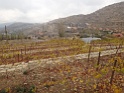 DSC01085