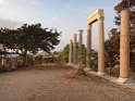 DSC01159