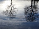 DSC00210