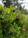 DSC09050