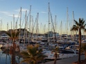 DSC00938
