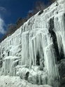 IMG_9329