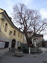 DSC02049