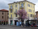 DSC02154