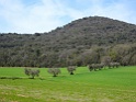 DSC02409
