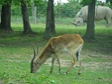 DSC02801