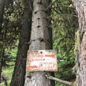IMG_6373