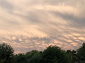 IMG_2727