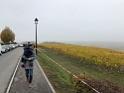 IMG_6178