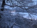 IMG_8498