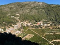 IMG_7597