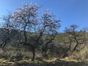 IMG_7639