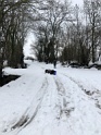 IMG_8734