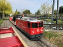 IMG_0306