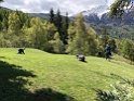 IMG_0410