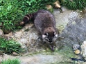 IMG_1125