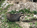 IMG_1134