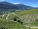 IMG_1550