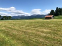 IMG_2280