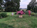 IMG_3460