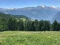IMG_3481
