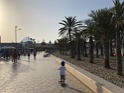 IMG_4386