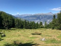 IMG_5208