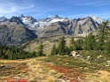 IMG_8054