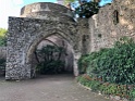 IMG_8551