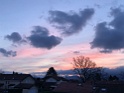 IMG_1949