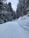 IMG_3951