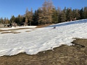 IMG_3755